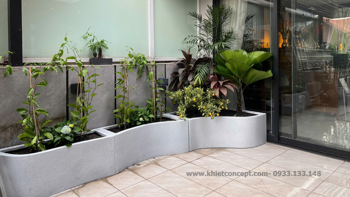 Chậu composite nhận đặt theo kích thước cho sân thượng chậu composite nhận đặt theo kích thước đặc biệt